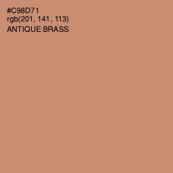 #C98D71 - Antique Brass Color Image